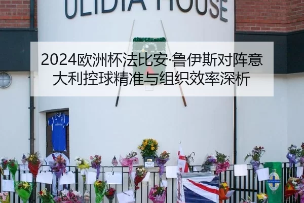 2024欧洲杯法比安·鲁伊斯对阵意大利控球精准与组织效率深析