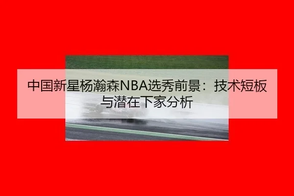 中国新星杨瀚森NBA选秀前景：技术短板与潜在下家分析