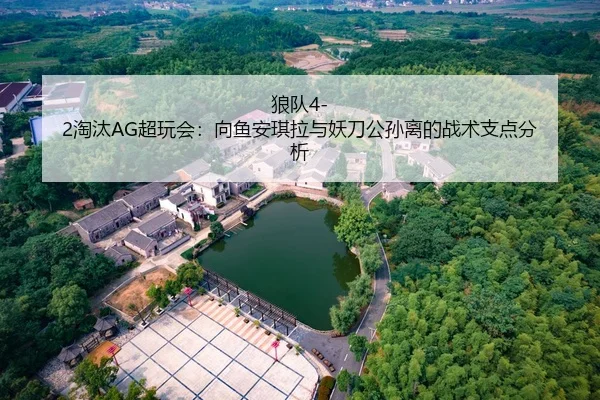 狼队4-2淘汰AG超玩会：向鱼安琪拉与妖刀公孙离的战术支点分析